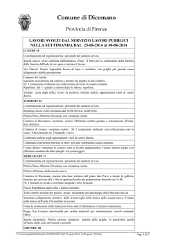 LAVORI SVOLTI dal 25 agosto 2014 al 30 agosto 2014