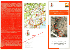 Download - Andiamo avanti tornando indietro