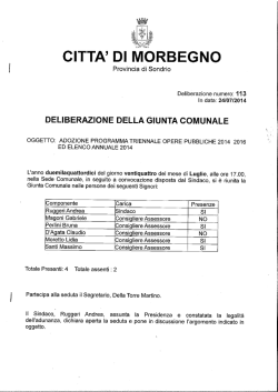 Delibera n.113 del 24-7-2014 Approvazione piano Opere 2014/15/16