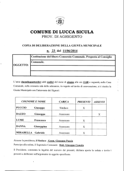 Costituzione del libero Consorzio Comunale. Proposta al Consiglio