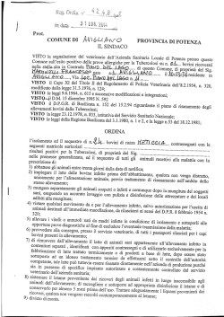 scarica il file - Comune di Avigliano