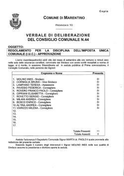 delibera approvazione regolamento iuc