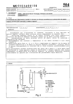 Testo depositato - 504_tbi