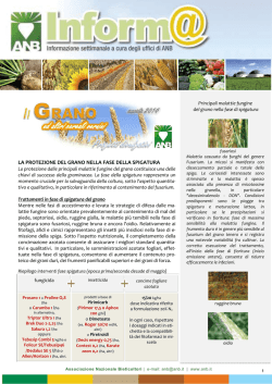 grano - difesa spigatura 2014 - Associazione Nazionale Bieticoltori