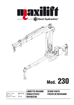 Mod. 230 - DEL Cranes