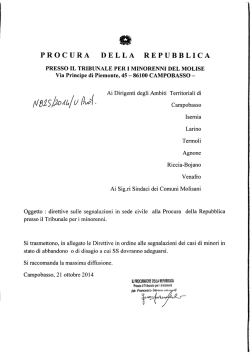 Direttive sulle segnalazioni in sede civile alla Procura della