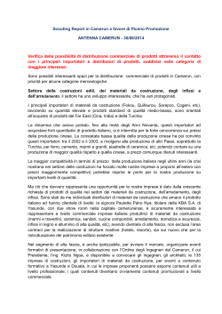 Report_Antenna_Camerun_30_06_2014