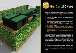 GenGas 100 kWe - Energy Life Industry