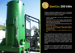 GenGas 200 kWe - Energy Life Industry