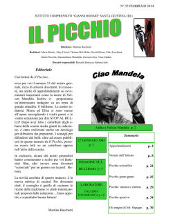 Il Picchio n. 53 febbraio 2014 - I.C."Rodari"