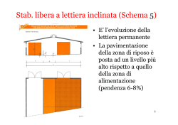 Lettiera_Inclinata [modalità compatibilità]