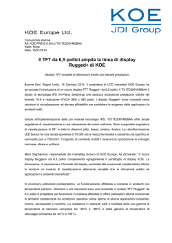 Il TFT da 6,5 pollici amplia la linea di display