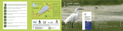 Il cuore verde di capodistria