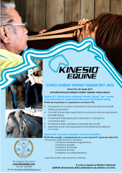 corso kinesio taping® equine ekt1-ekt2