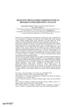 Hematite Photoanodes Modified with an Iron(III)