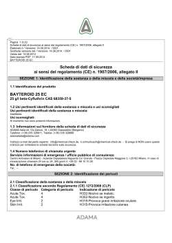 Scheda di sicurezza CLP