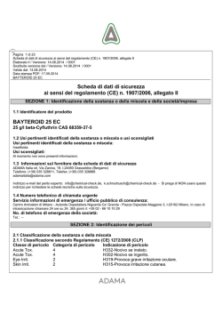 Scheda di sicurezza CLP