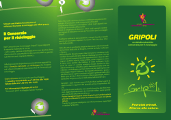 Gripoli (PDF 193Kb)