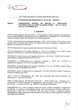 Determinazione dirigenziale del settore Anagrafico e Regolazione