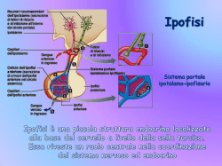 ipofisi, ormone della crescita e prolattina
