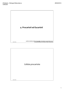 4. procarioti ed eucarioti - E