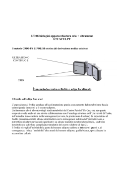 Effetti biologici apparecchiatura crio + ultrasuono ICE SCULPT &Egrave; un