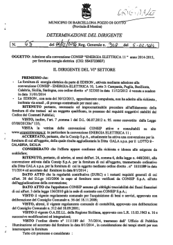 DETERMINAZIONE DEL DIRIGENTE - comune di barcellona pozzo