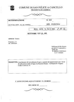 determina n. 362 del 02.10.2014 - Comune di San Felice a Cancello