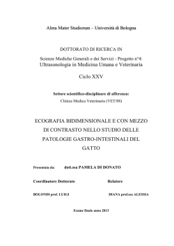 Documento PDF - AMS Tesi di Dottorato