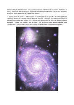 Download (PDF, 159KB) - Gruppo Zero-g