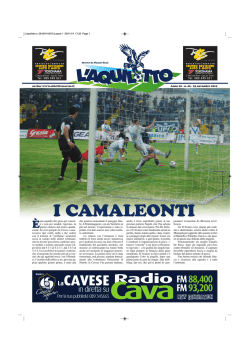 Scarica in formato PDF (4.8 MB)
