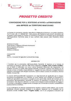 progetto credito cciaa mn