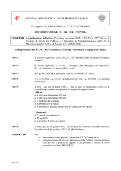 Determinazione del 17 Luglio, n. 312 [file]