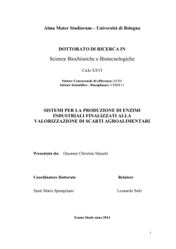 Documento PDF - AMS Tesi di Dottorato
