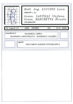 Dott. Ing. LUCCONI Luca