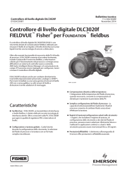 Controllore di livello digitale DLC3020f FIELDVUE Fisher fieldbus