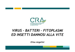 Difesa dai parassiti (II parte) - CRA-VIT