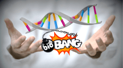 BioBang – Geni Mutanti