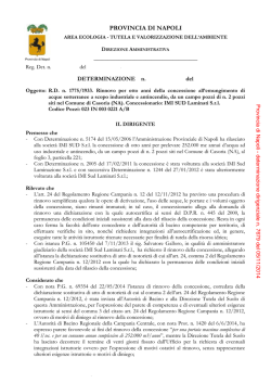 Provincia di Napoli - determinazione dirigenziale n. 7679 del 05/11