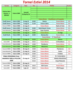 Tornei Estivi 2014