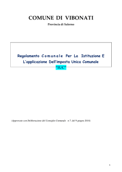 2014-07cc Regolamento IUC