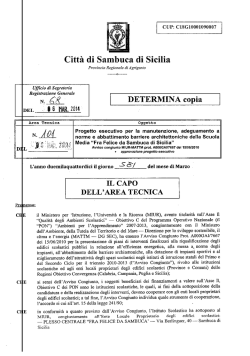 determina capo area n.68 del 06-03-2014