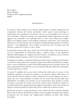 Ill.mo Signor Bruno Dorigatti Presidente del Consiglio provinciale