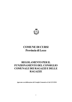 Il Regolamento del Consiglio Comunale dei
