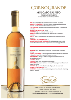imp. Fiorano_mont - Cantine Galasso