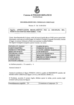 Delibera del Consiglio Comunale n. 8 del 16-04-2014