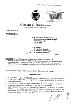 Verbale dei Collegio dei Revisori n. 30 dei 13.03
