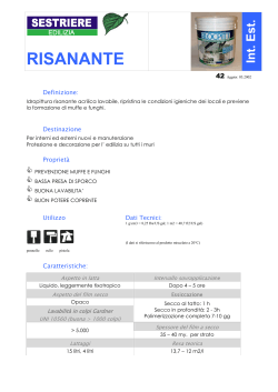 Risanante BP - Colorificio Nichelino Torino