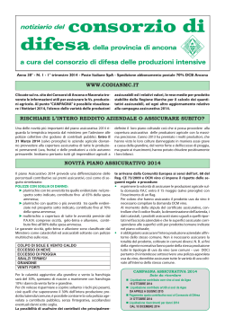 Scarica allegato