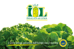 guarda la brochure - Insalata di Lusia IGP